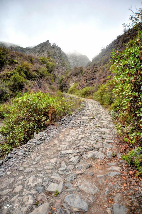 Naturaleza Viva El Socorro ภายนอก รูปภาพ