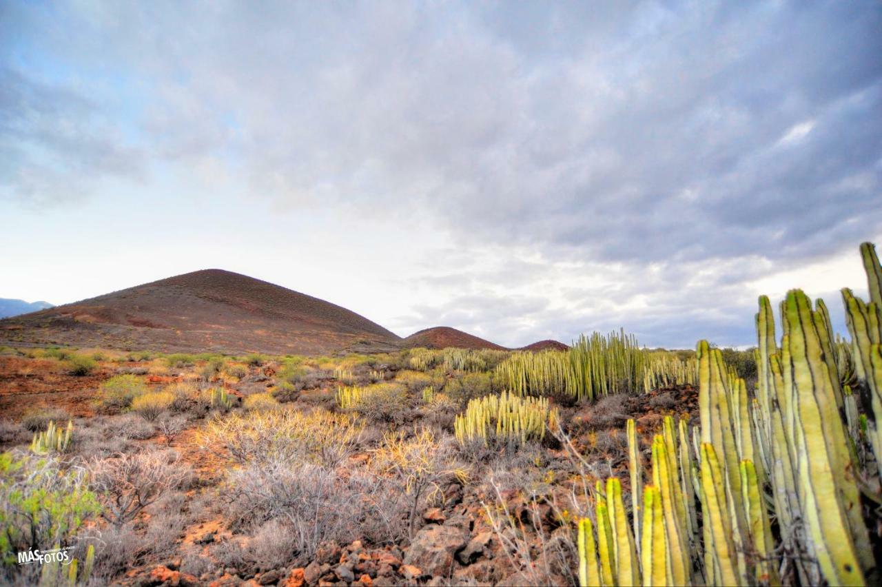 Naturaleza Viva El Socorro ภายนอก รูปภาพ