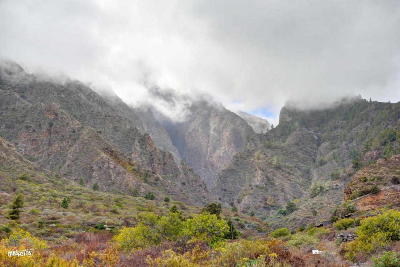 Naturaleza Viva El Socorro ภายนอก รูปภาพ