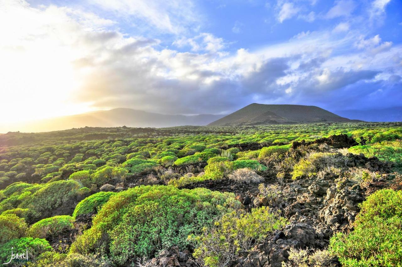 Naturaleza Viva El Socorro ภายนอก รูปภาพ